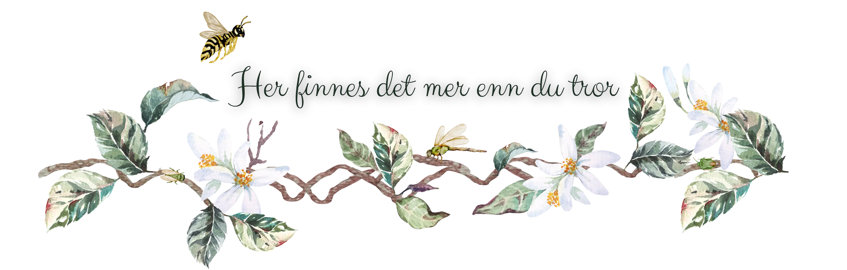 Legg til en underoverskrift (2).png